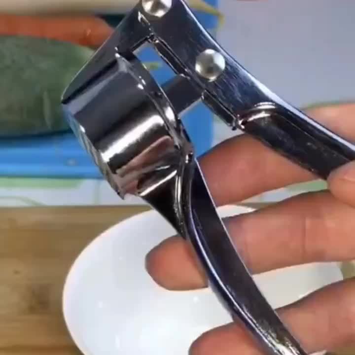 1pc RZSYZH Heavy - Duty Garlic Press - AdeLShop