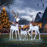 3pcs Large 3D Christmas Reindeer