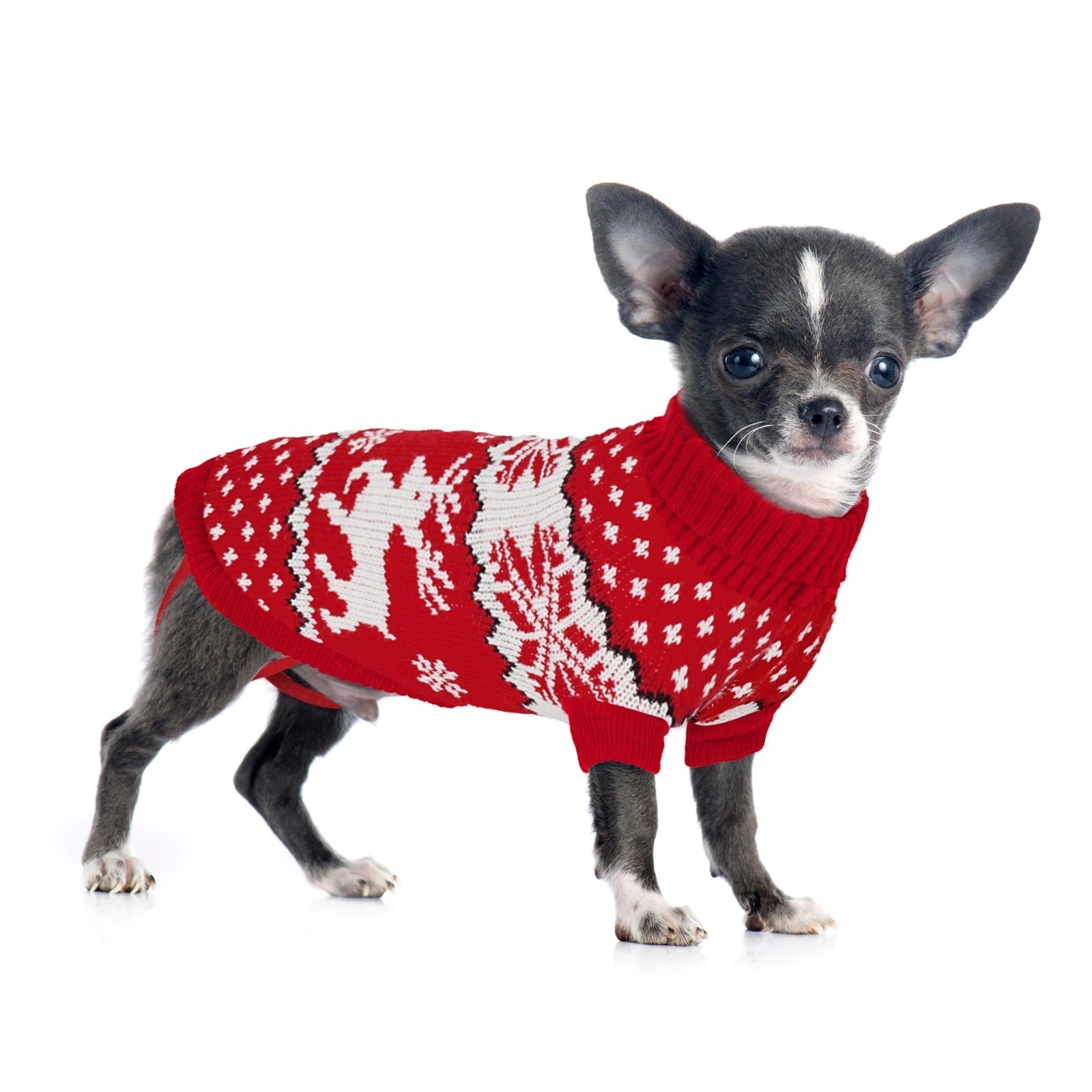 Dog winter clothing Christmas celebration clothes Knitted pet clothing Suitable - AdeLShop