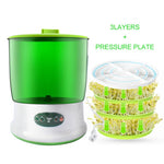 Intelligent Bean Sprouts Maker Thermostat Green Electric - AdeLShop